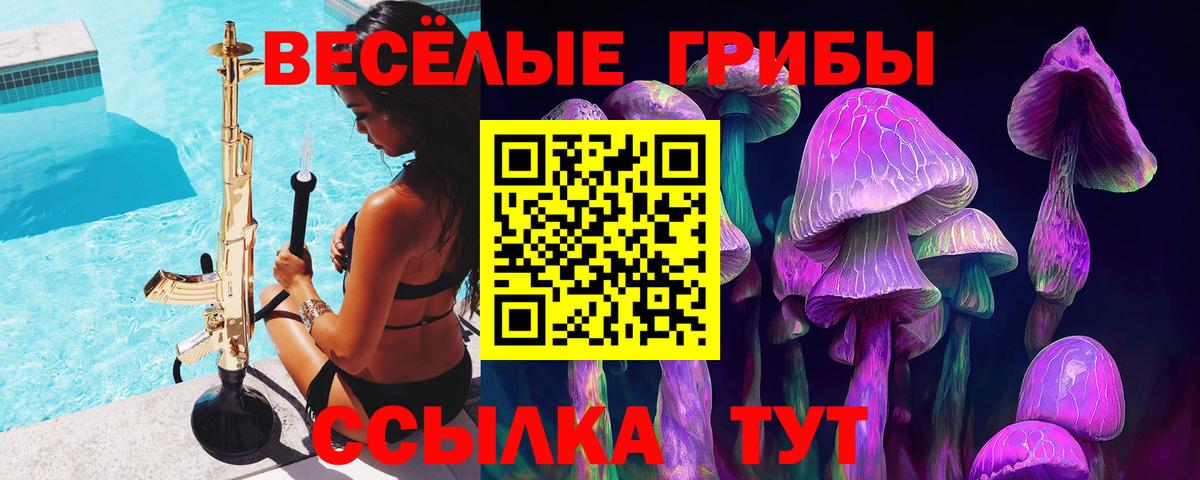 Псилоцибиновые грибы GOLDEN TEACHER Тихвин