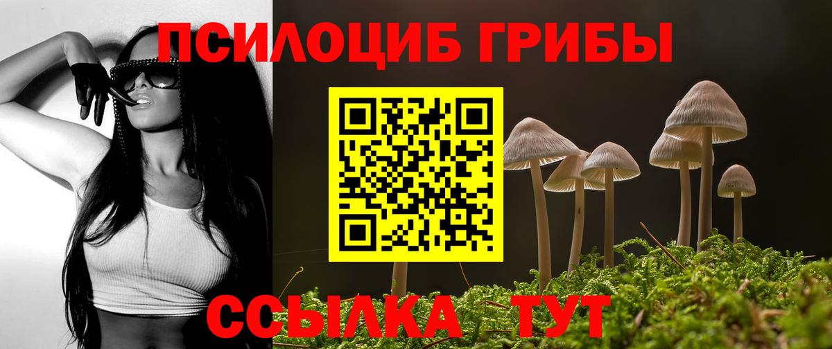 Тихвин  Галлюциногенные грибы MAGIC MUSHROOMS  Вход с VPN 